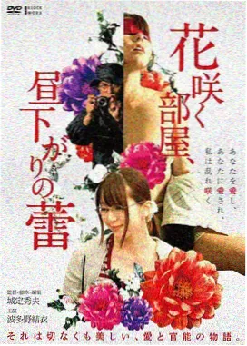 刺客聂隐娘国际完整版封面